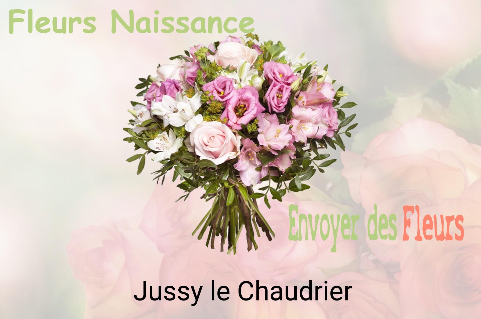 Bouquet de fleurs de naissance livré à Jussy-le-Chaudrier